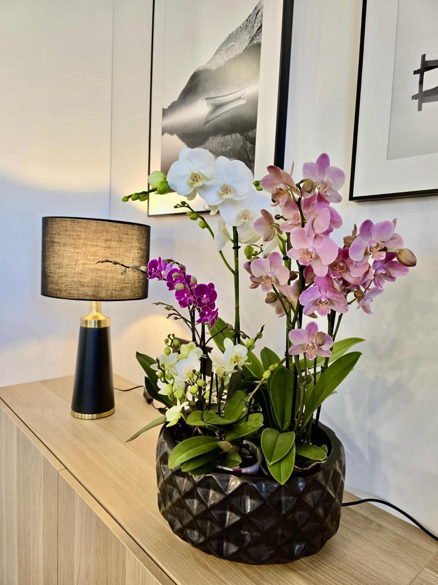 Alejos Apartmentai Comfort Druskininkai Ngoại thất bức ảnh